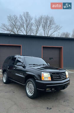 Позашляховик / Кросовер Cadillac Escalade 2002 в Переяславі