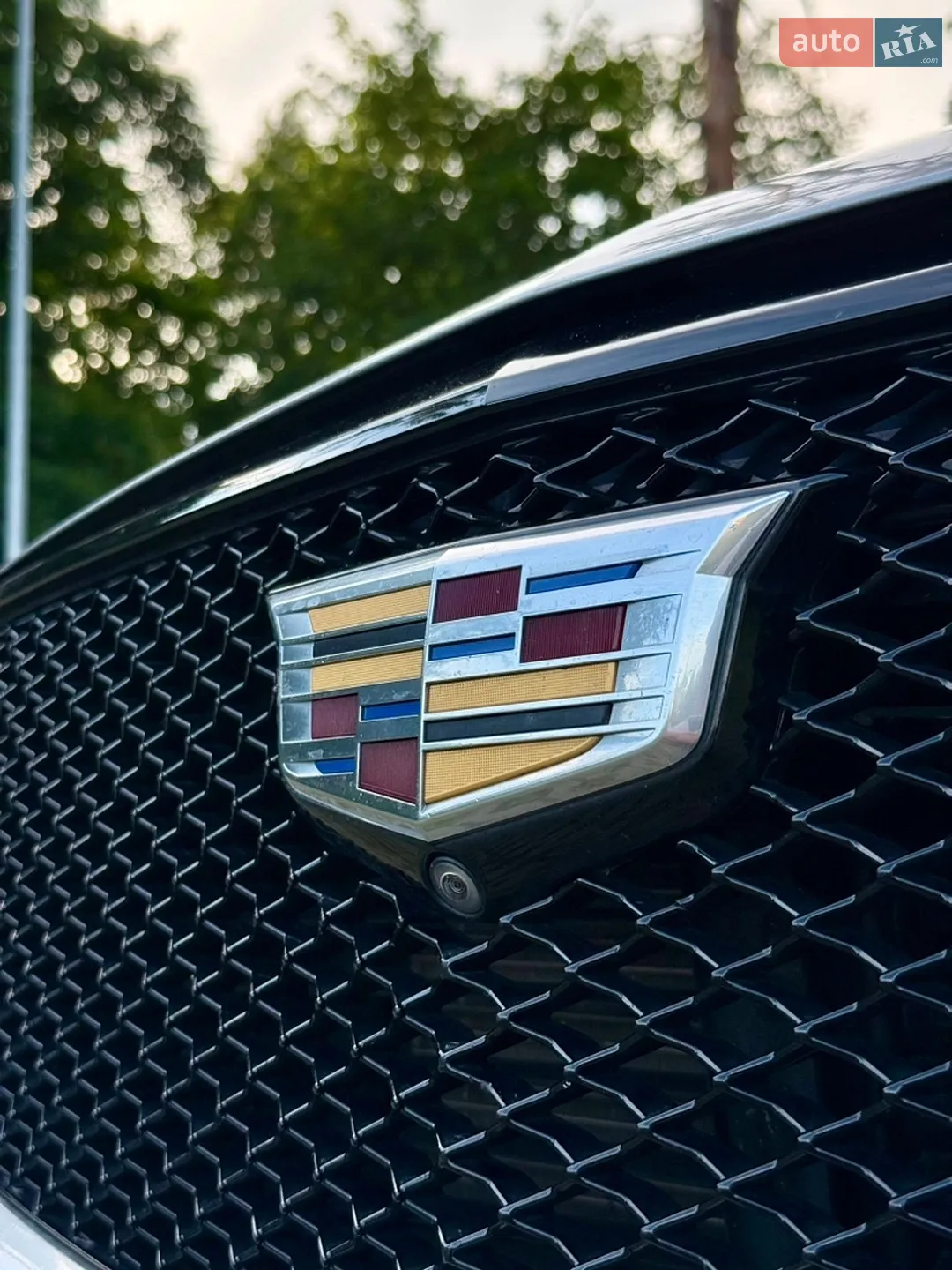 2020 Cadillac XT6 - мініатюра 12