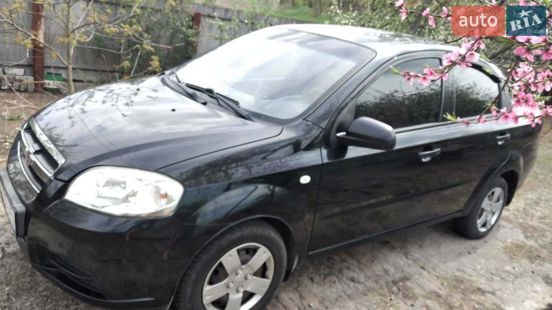 2011 Chevrolet Aveo - фото 1