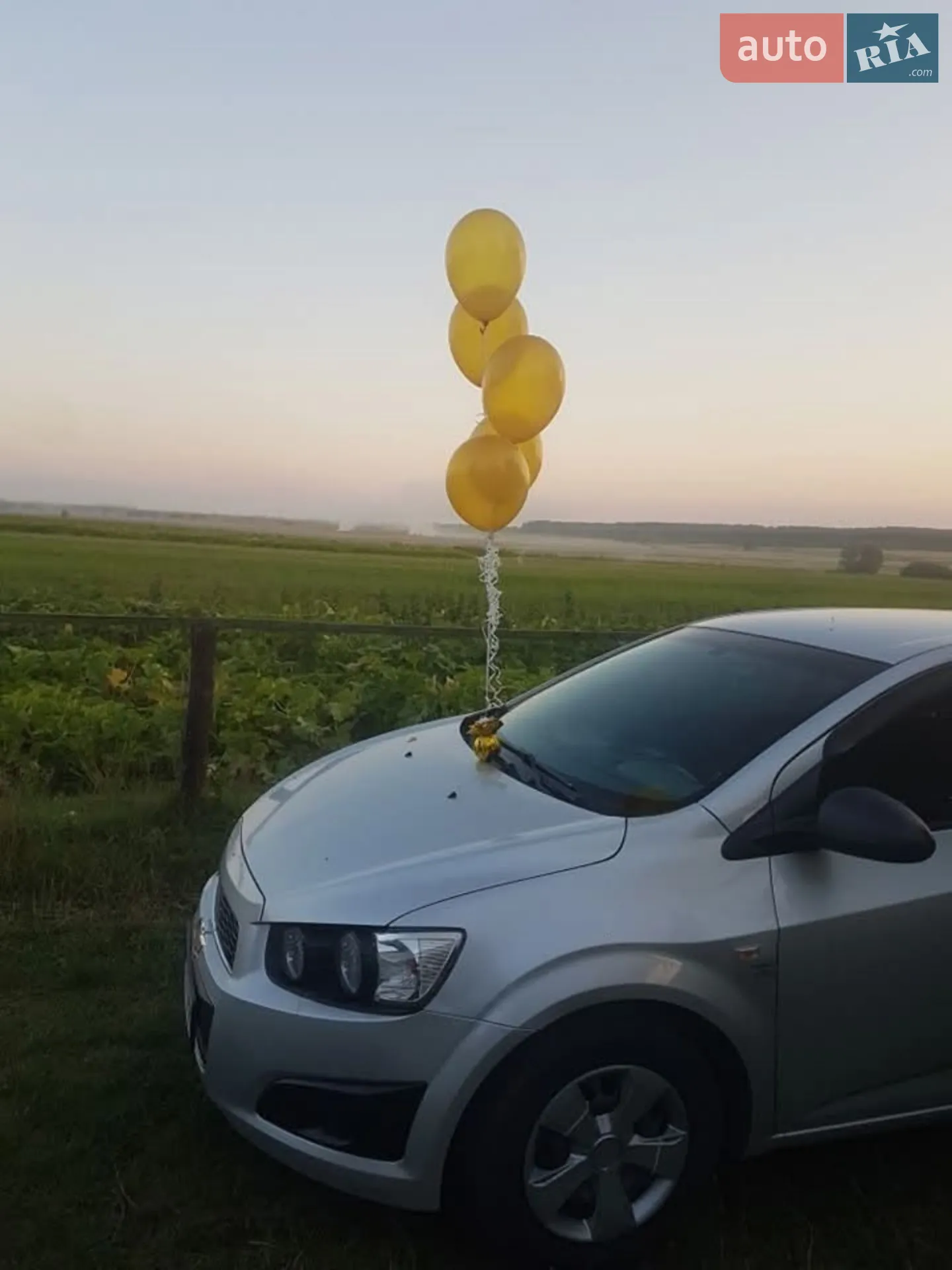 2012 Chevrolet Aveo - фото 1