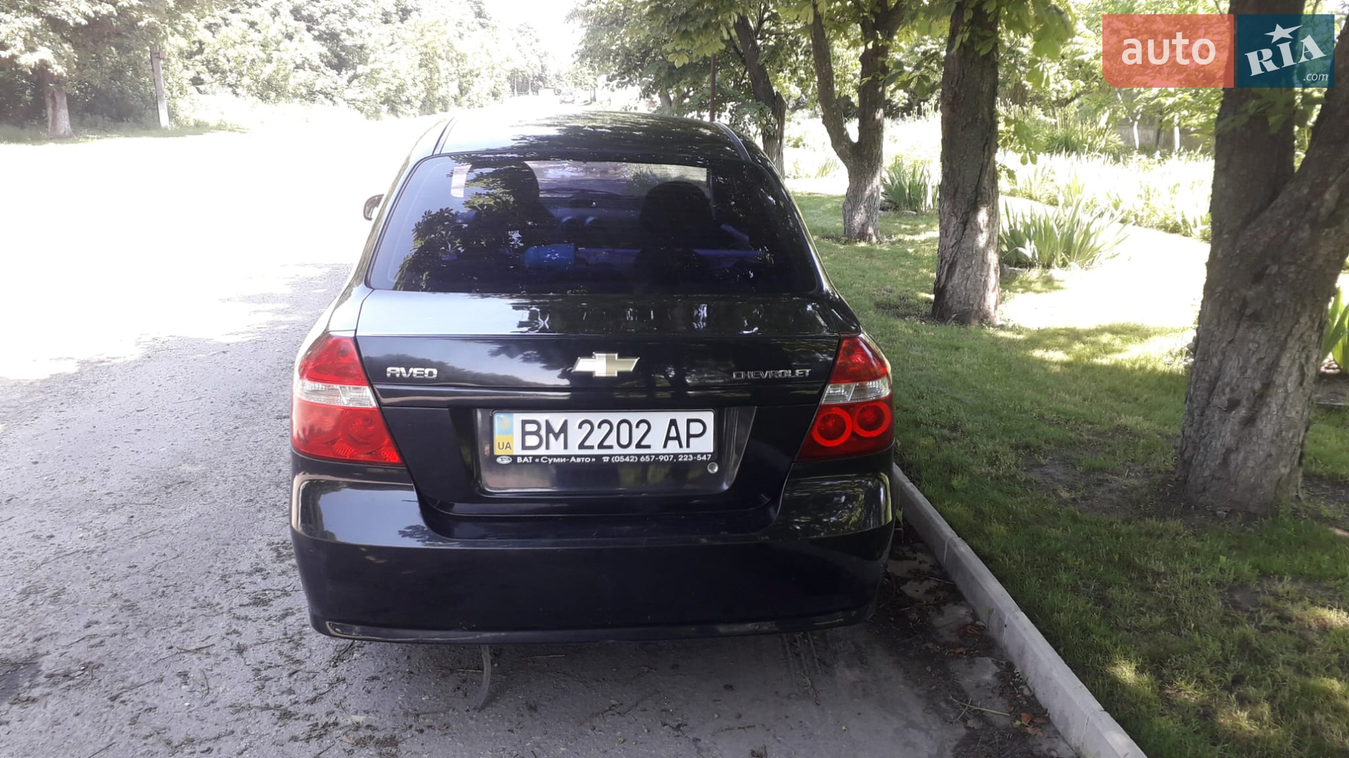 2010 Chevrolet Aveo - мініатюра 2