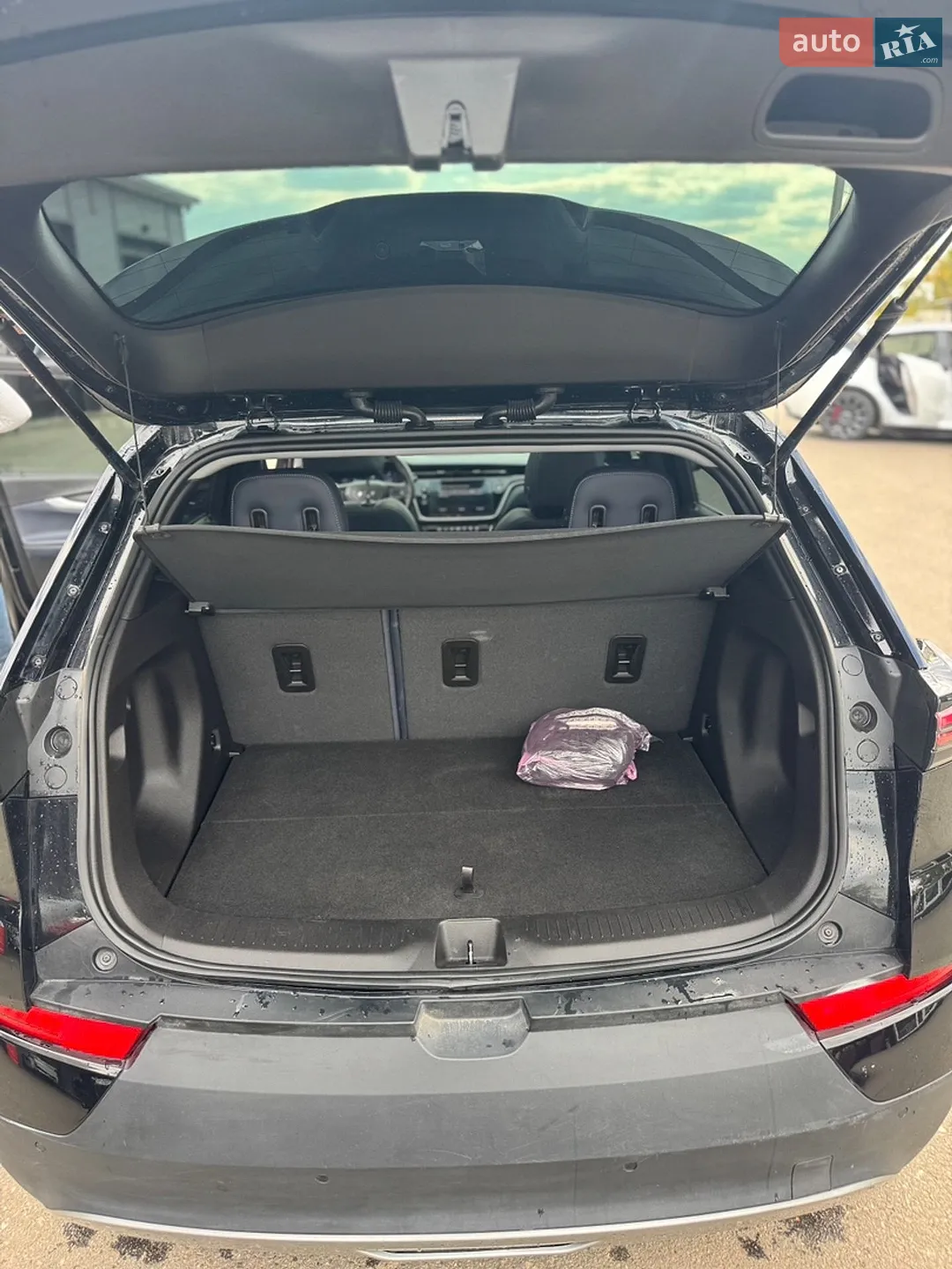 2021 Chevrolet Bolt EUV - мініатюра 11