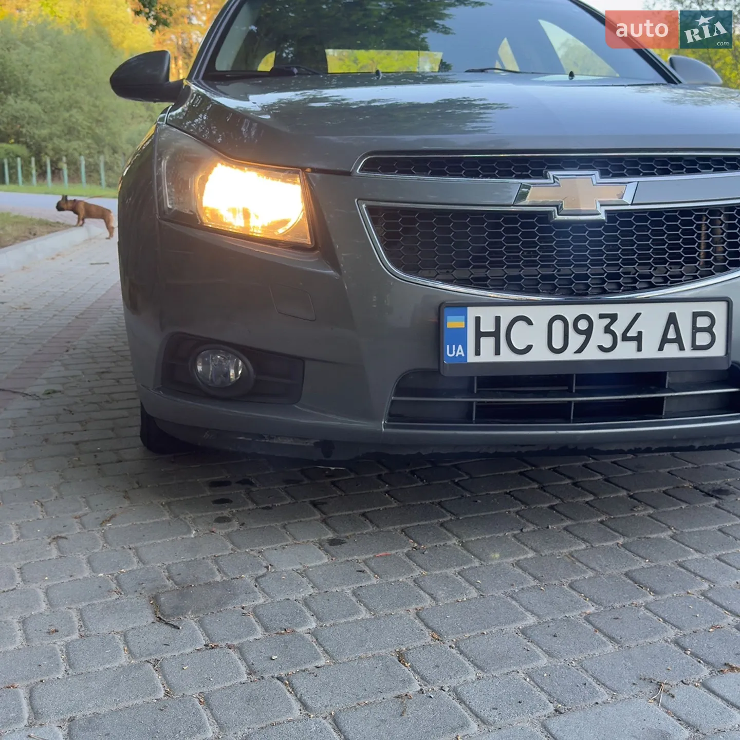 2010 Chevrolet Cruze - мініатюра 17