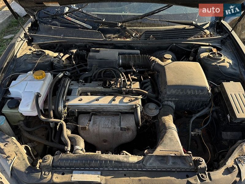 Седан Chevrolet Evanda 2005 в Боярке фото 13 Седан Chevrolet Evanda 2005 в Боярке