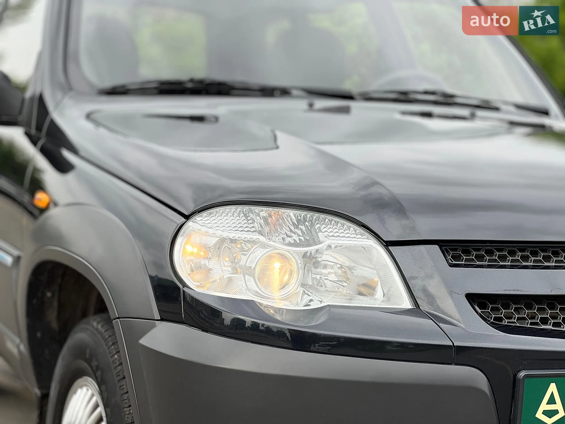 2010 Chevrolet Niva - мініатюра 12