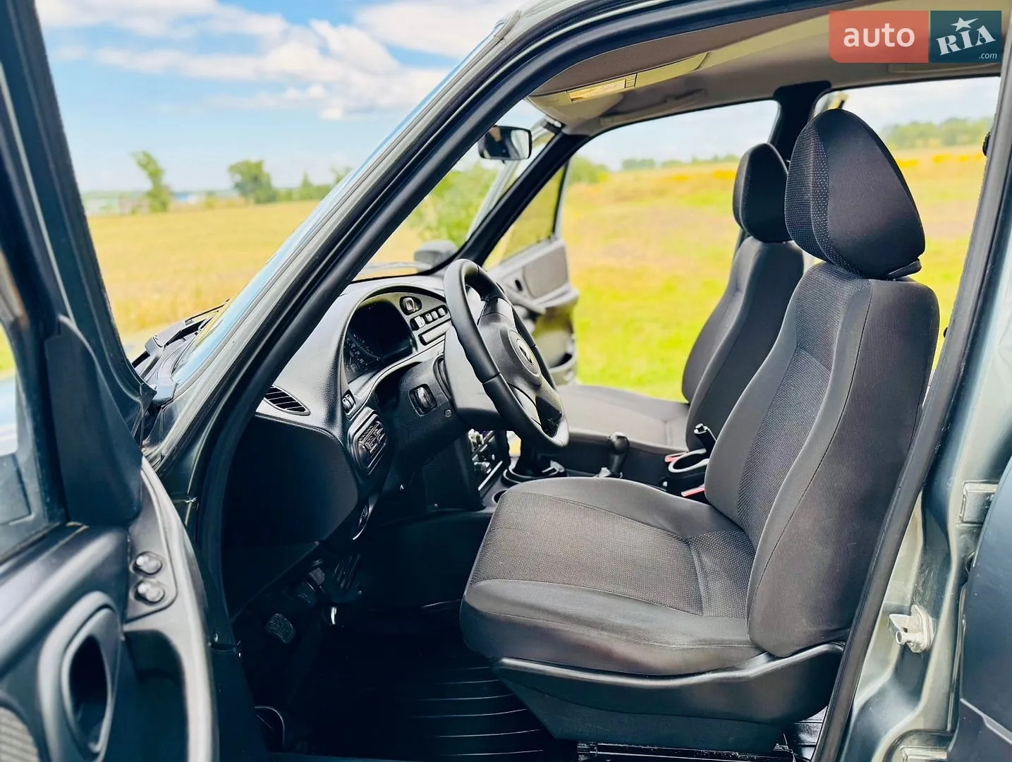 2010 Chevrolet Niva - мініатюра 10