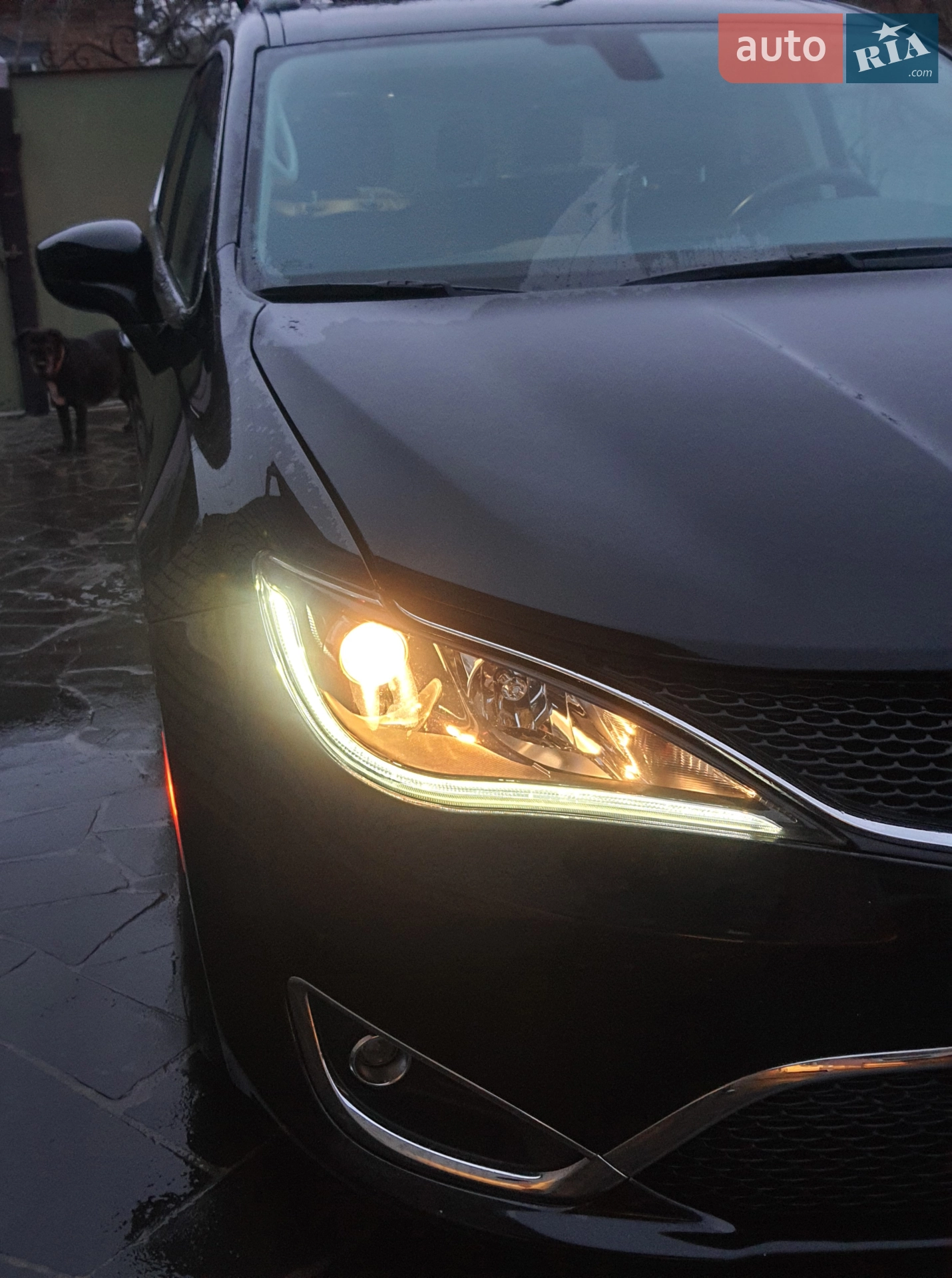 2016 Chrysler Pacifica - мініатюра 6