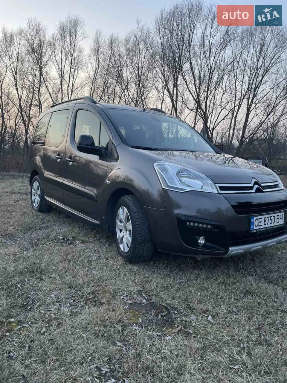 2015 Citroen Berlingo - мініатюра 60
