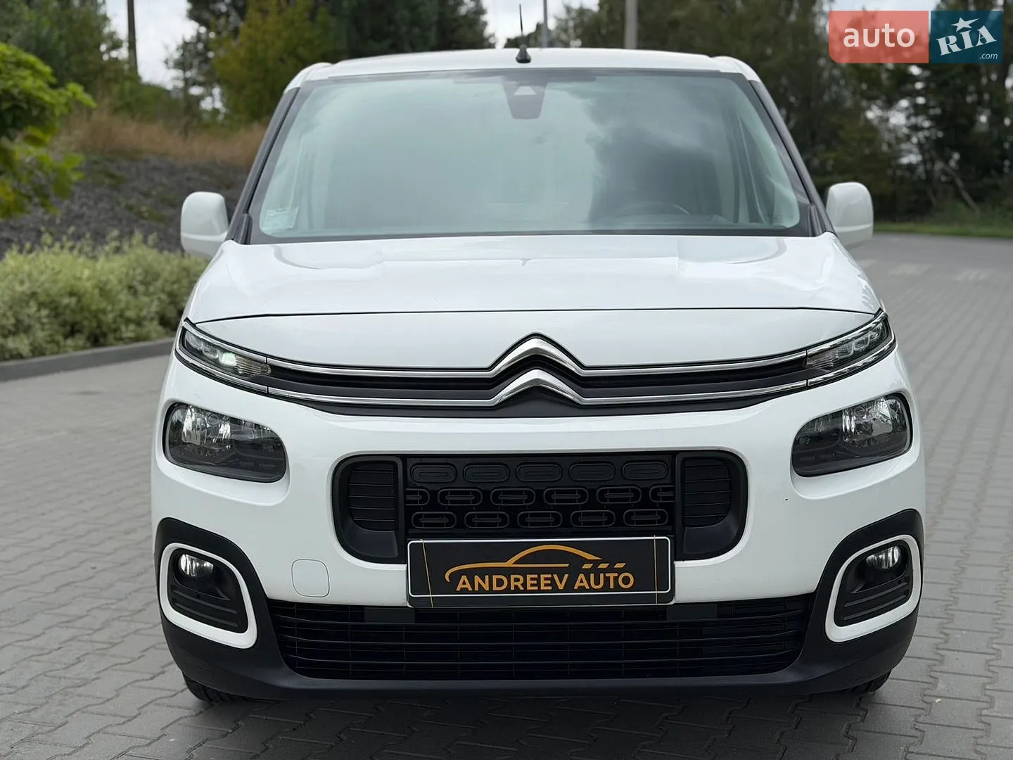 2019 Citroen Berlingo - мініатюра 3