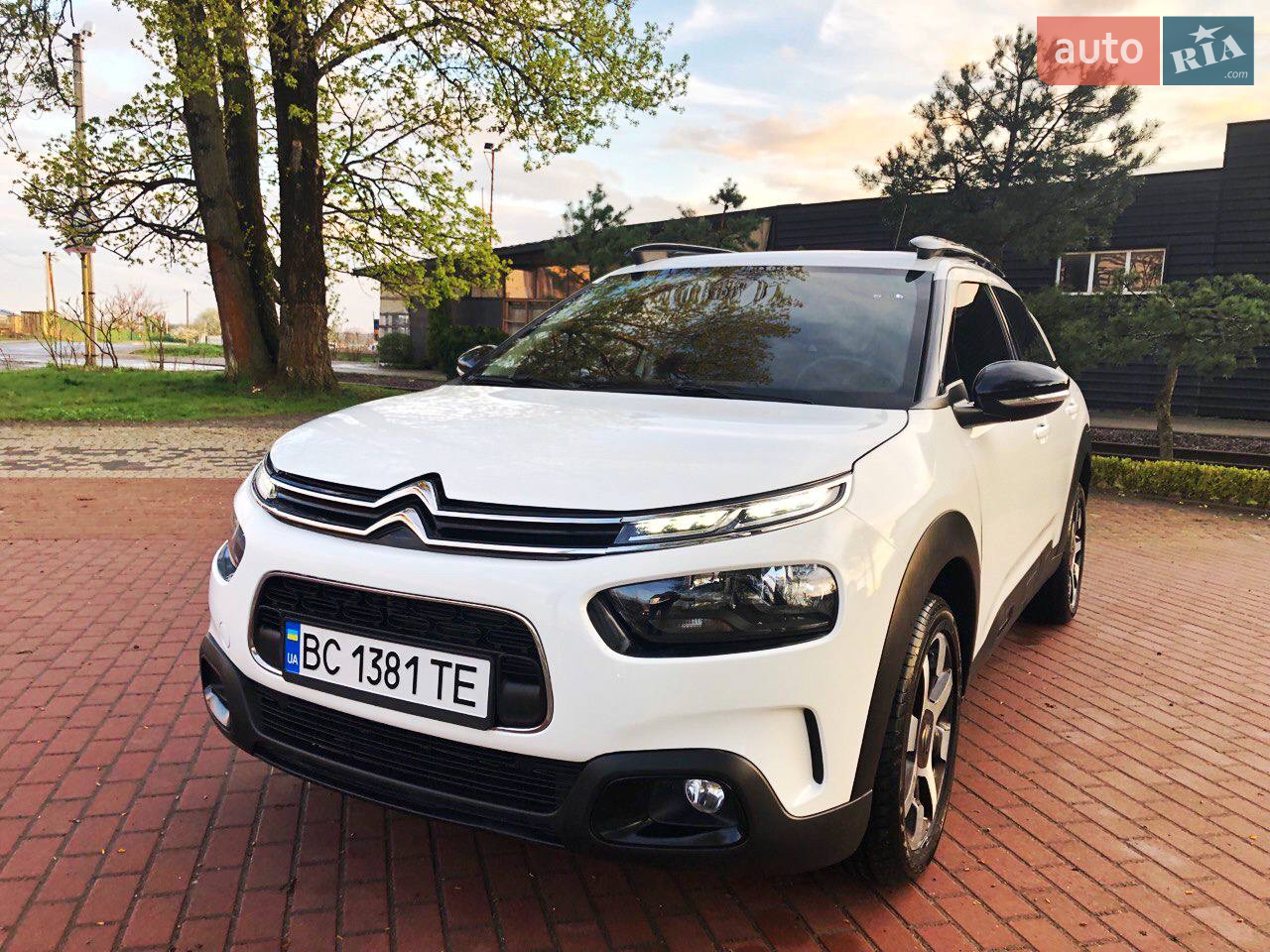 2019 Citroen C4 Cactus - мініатюра 14
