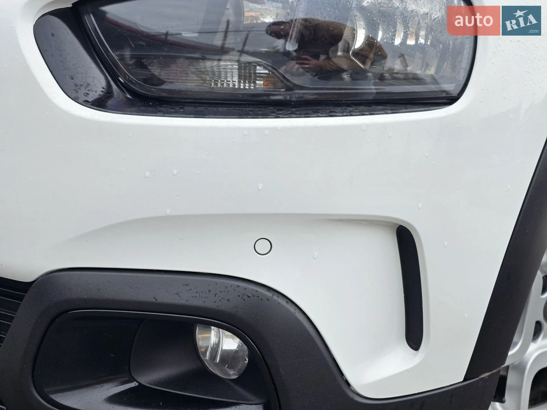 2019 Citroen C4 Cactus - мініатюра 41