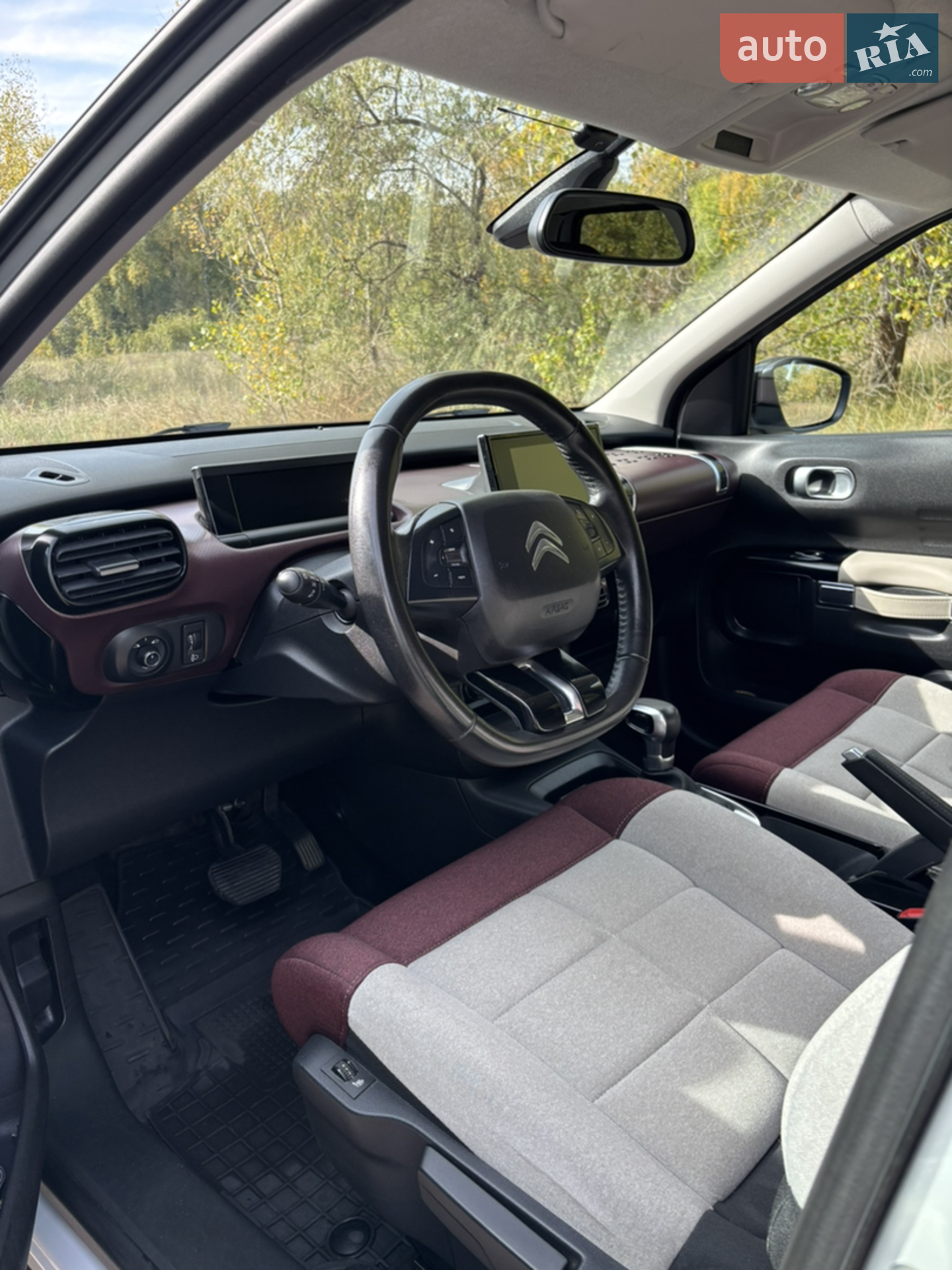 2019 Citroen C4 Cactus - мініатюра 13