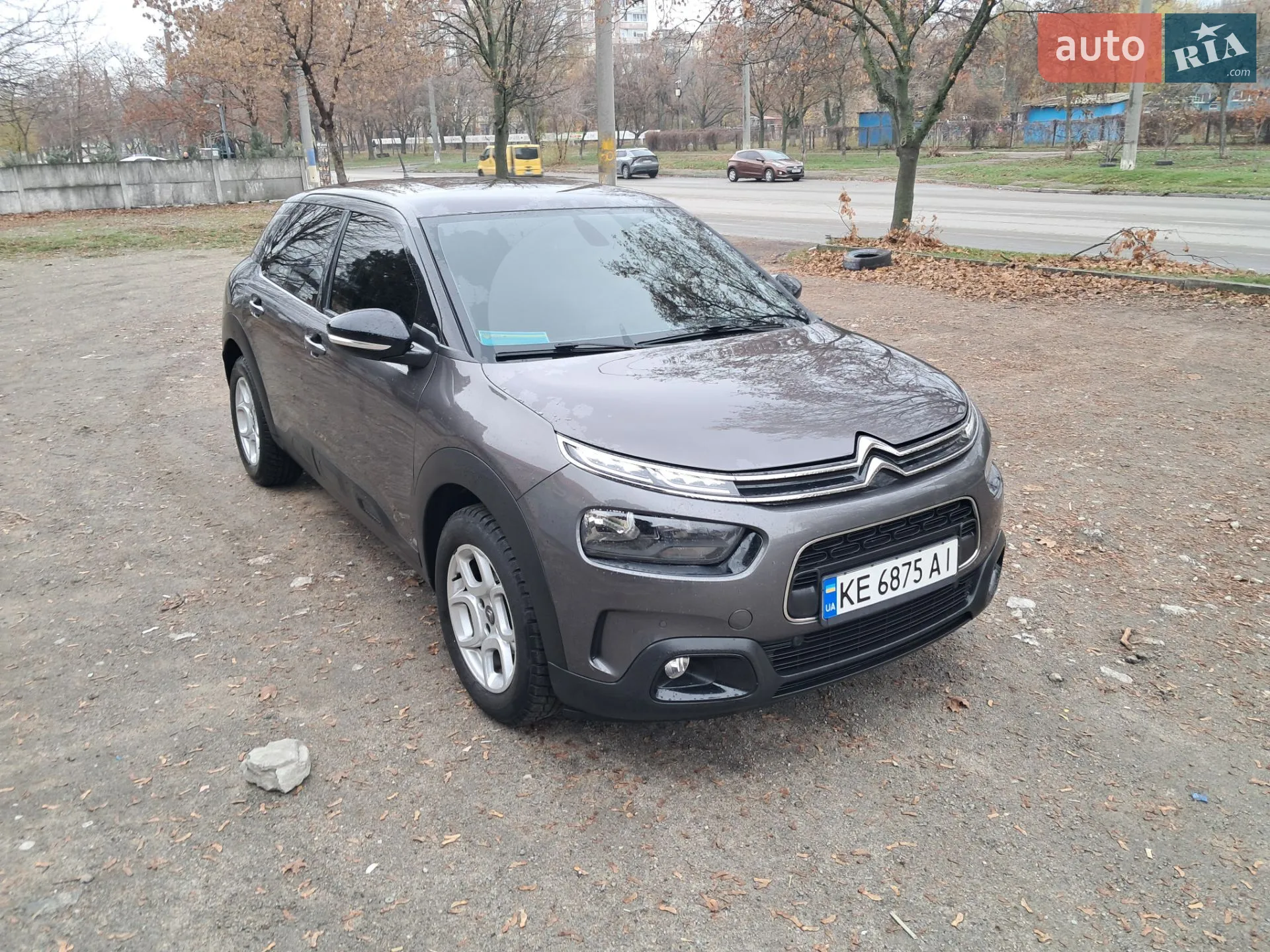 2019 Citroen C4 Cactus - мініатюра 6