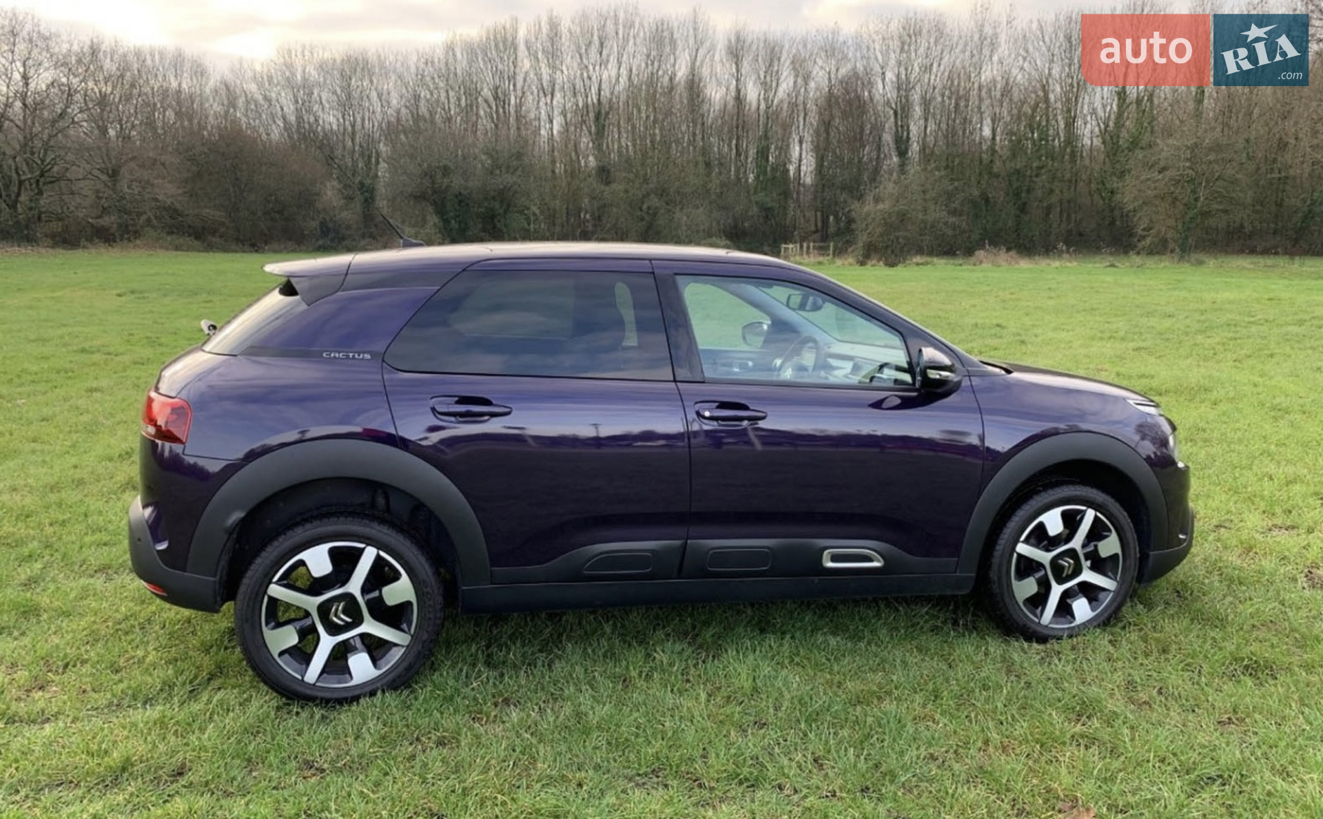 2019 Citroen C4 Cactus - мініатюра 9