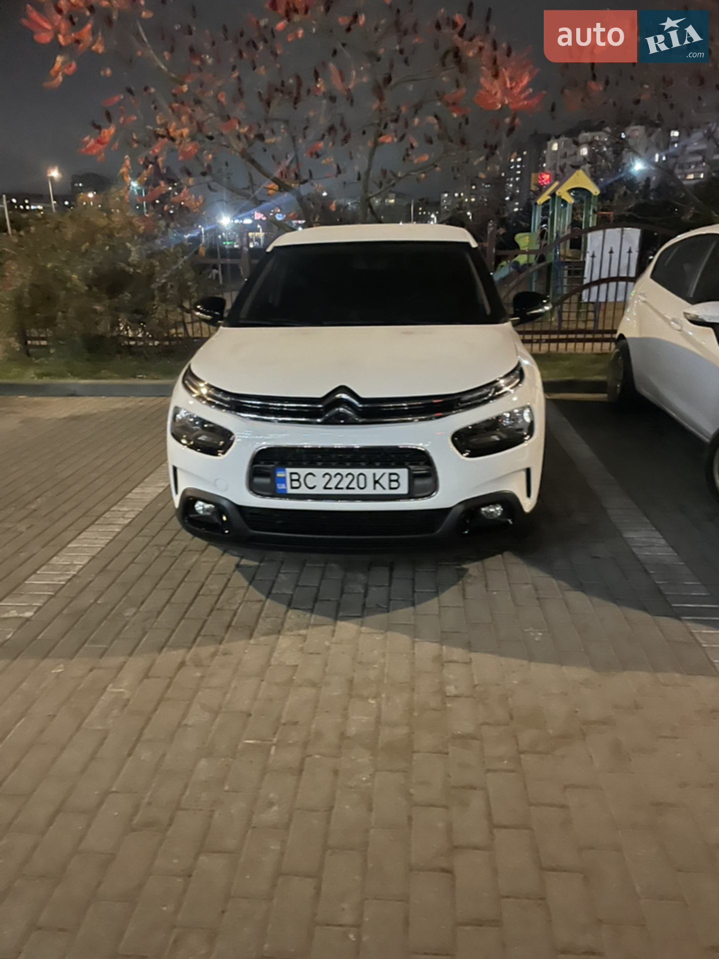 2019 Citroen C4 Cactus - мініатюра 2