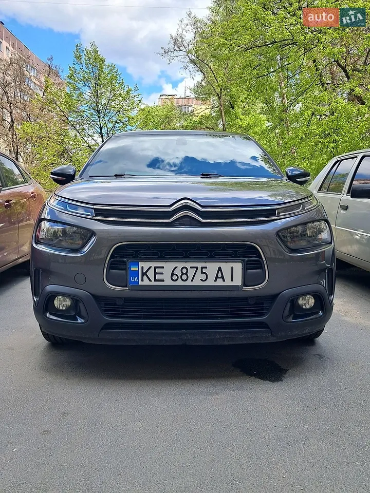 2019 Citroen C4 Cactus - мініатюра 19