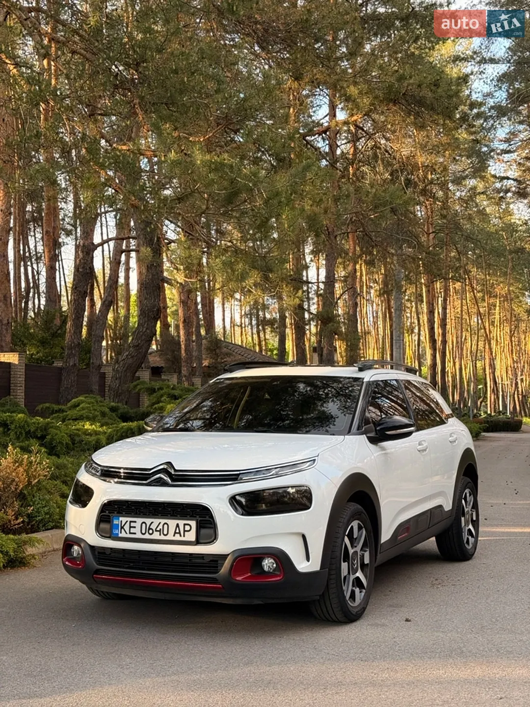 2019 Citroen C4 Cactus - фото 1