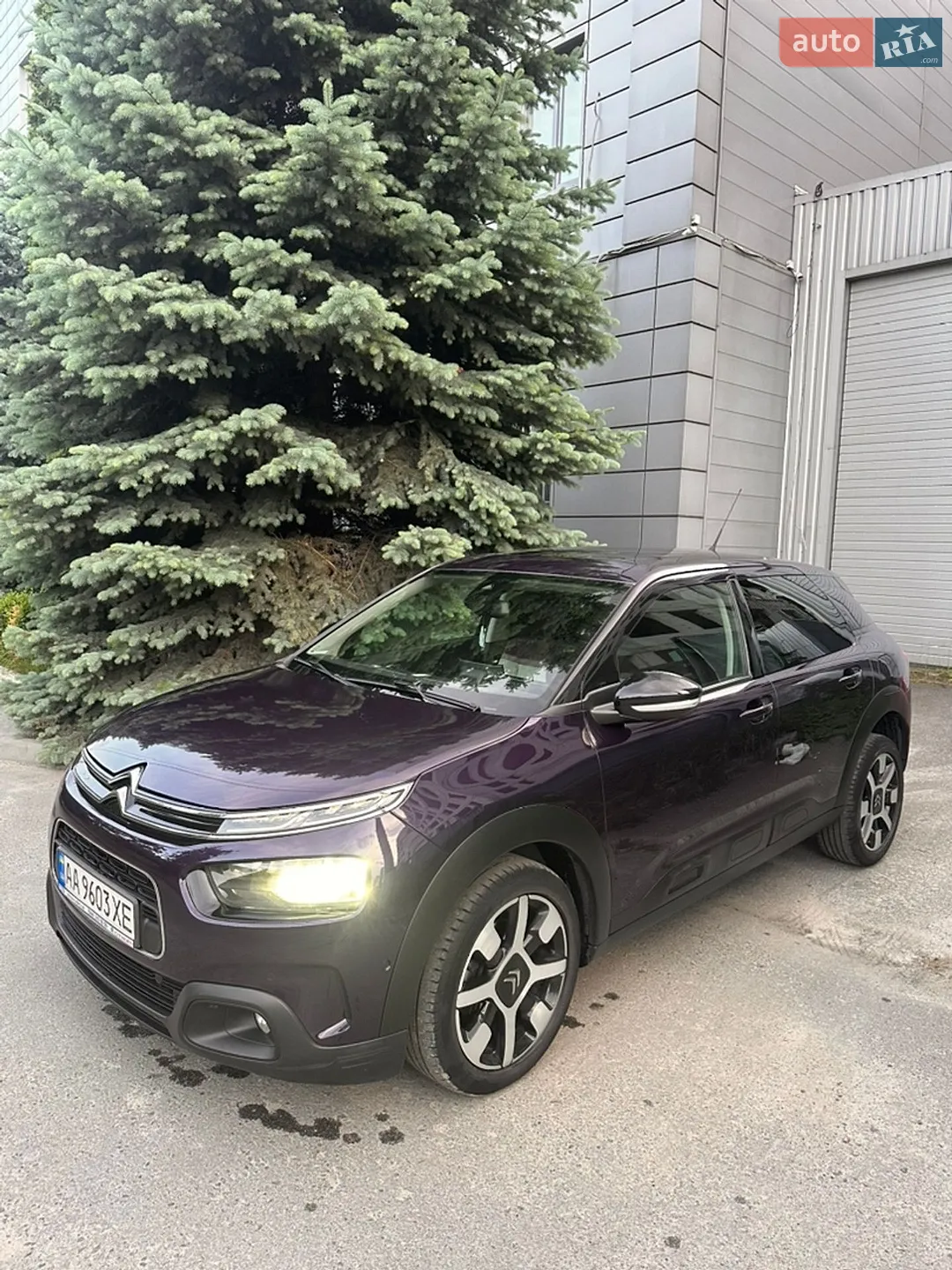 2019 Citroen C4 Cactus - мініатюра 3