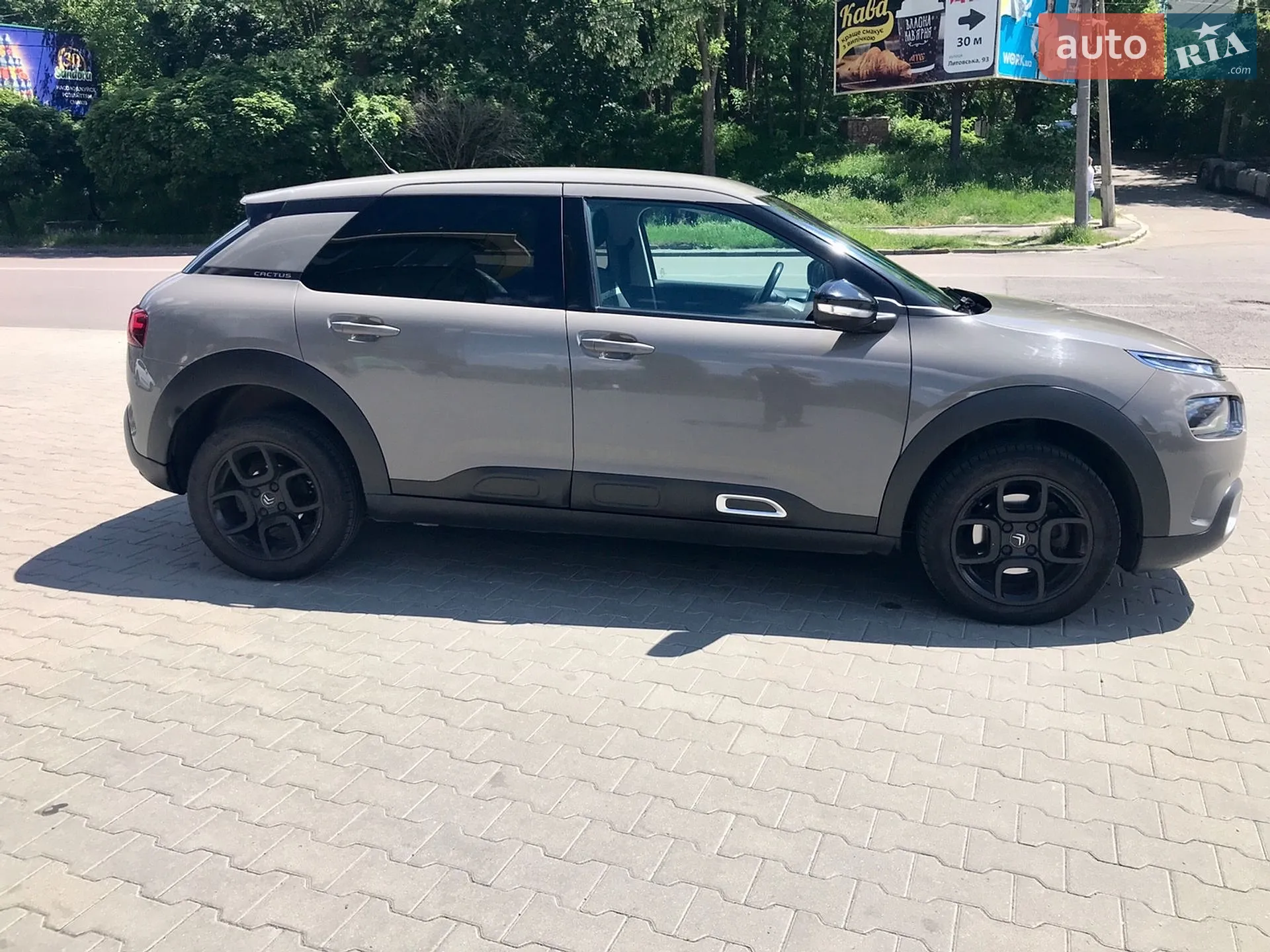 2019 Citroen C4 Cactus - мініатюра 22