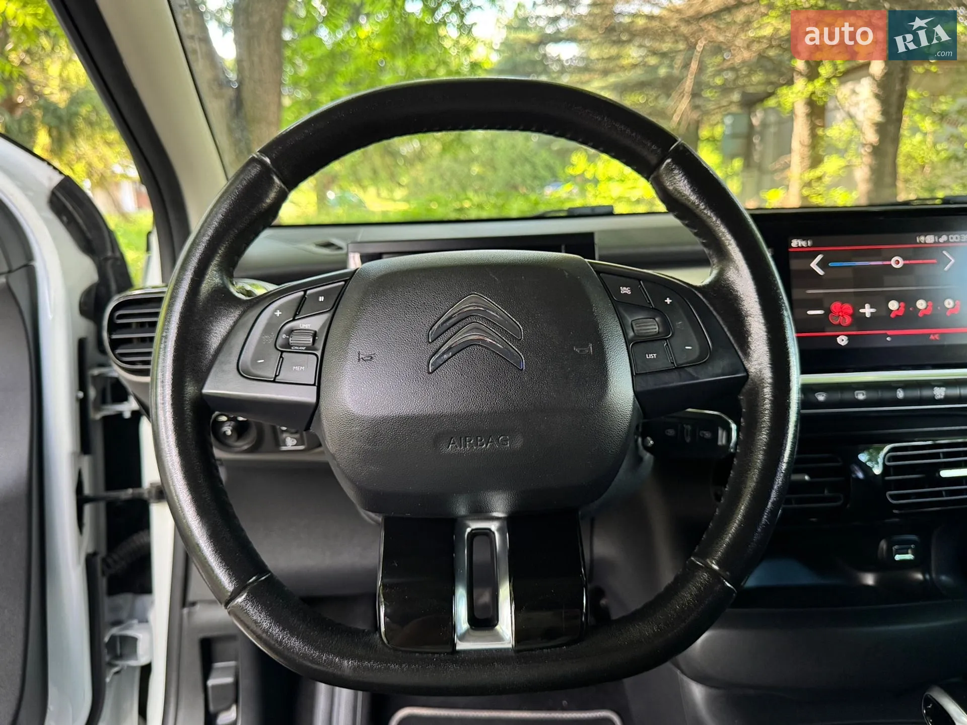 2019 Citroen C4 Cactus - мініатюра 38