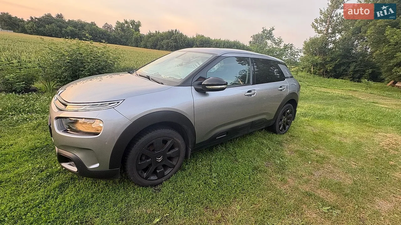 2019 Citroen C4 Cactus - мініатюра 19