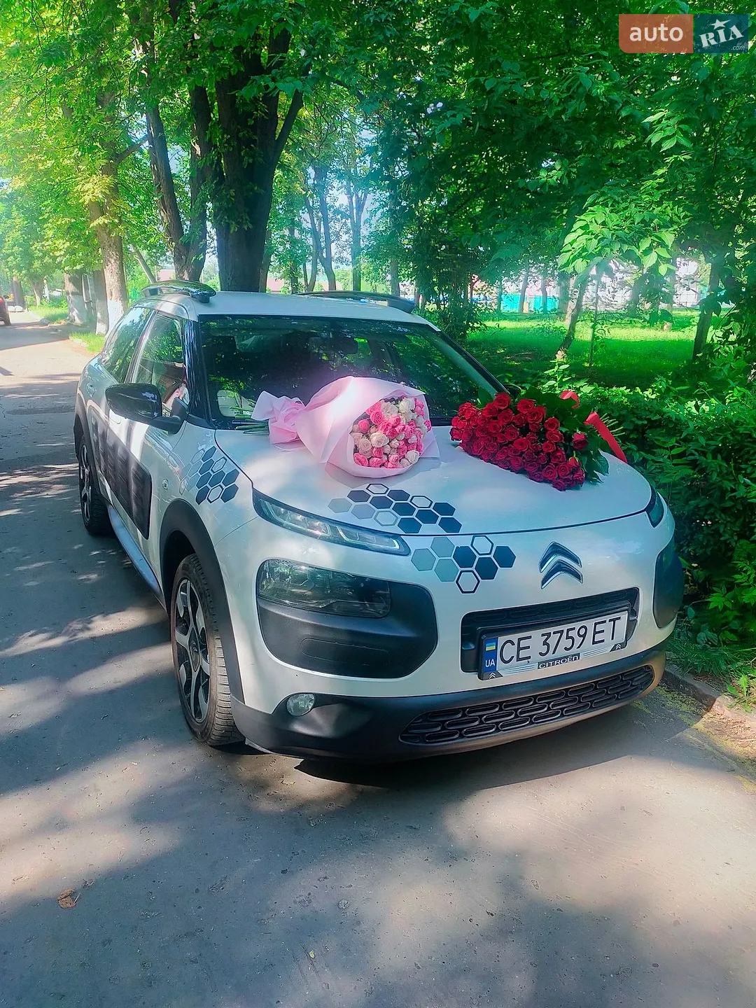 2015 Citroen C4 Cactus - мініатюра 2