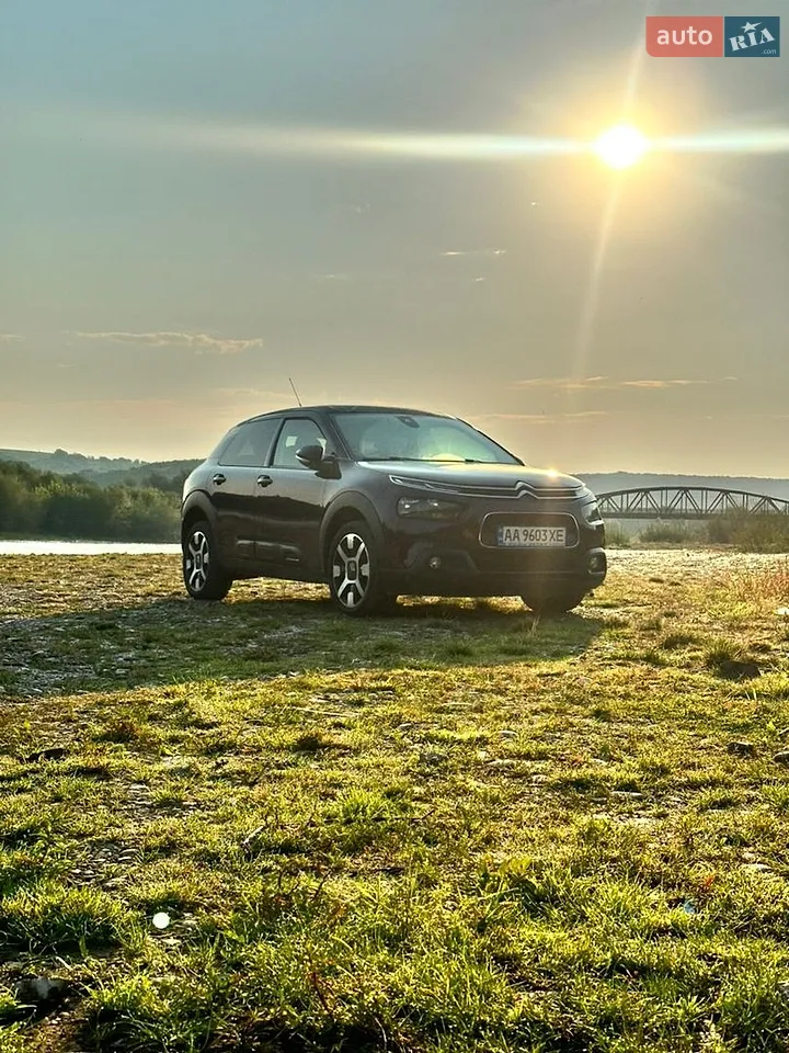 2019 Citroen C4 Cactus - мініатюра 14