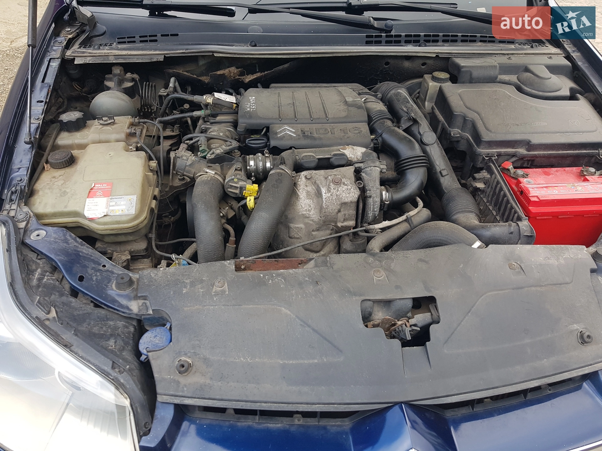 Citroen C5 2004 VIN VF7RE9HZC76624246 фото оголошення 31 з 36