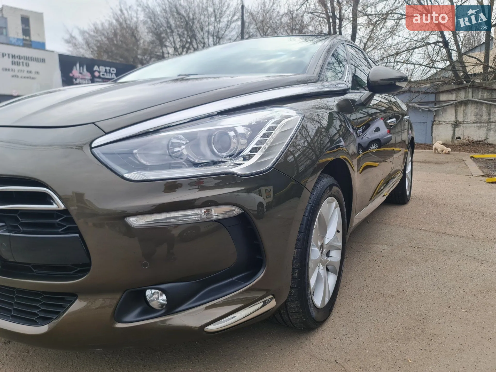 2014 Citroen DS5 - мініатюра 25