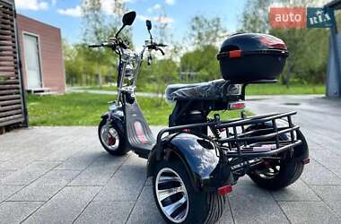 Трицикл Citycoco Atlas Hunter 2025 в 