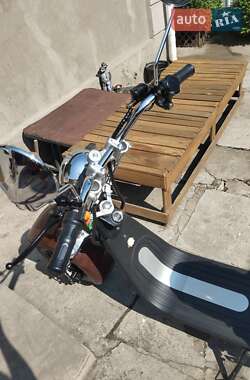 Макси-скутер Citycoco Harley Electric Scooter 2020 в 