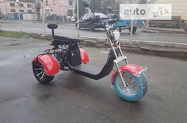 Трайк Citycoco Ride 2023 в 