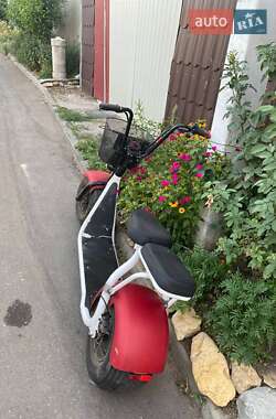 Мини спорт Citycoco Ride 2020 в 