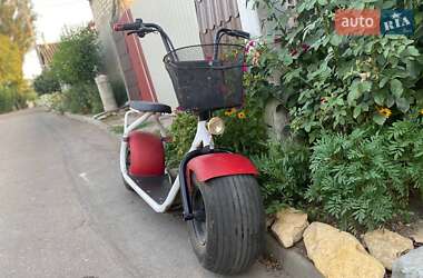 Мини спорт Citycoco Ride 2020 в 