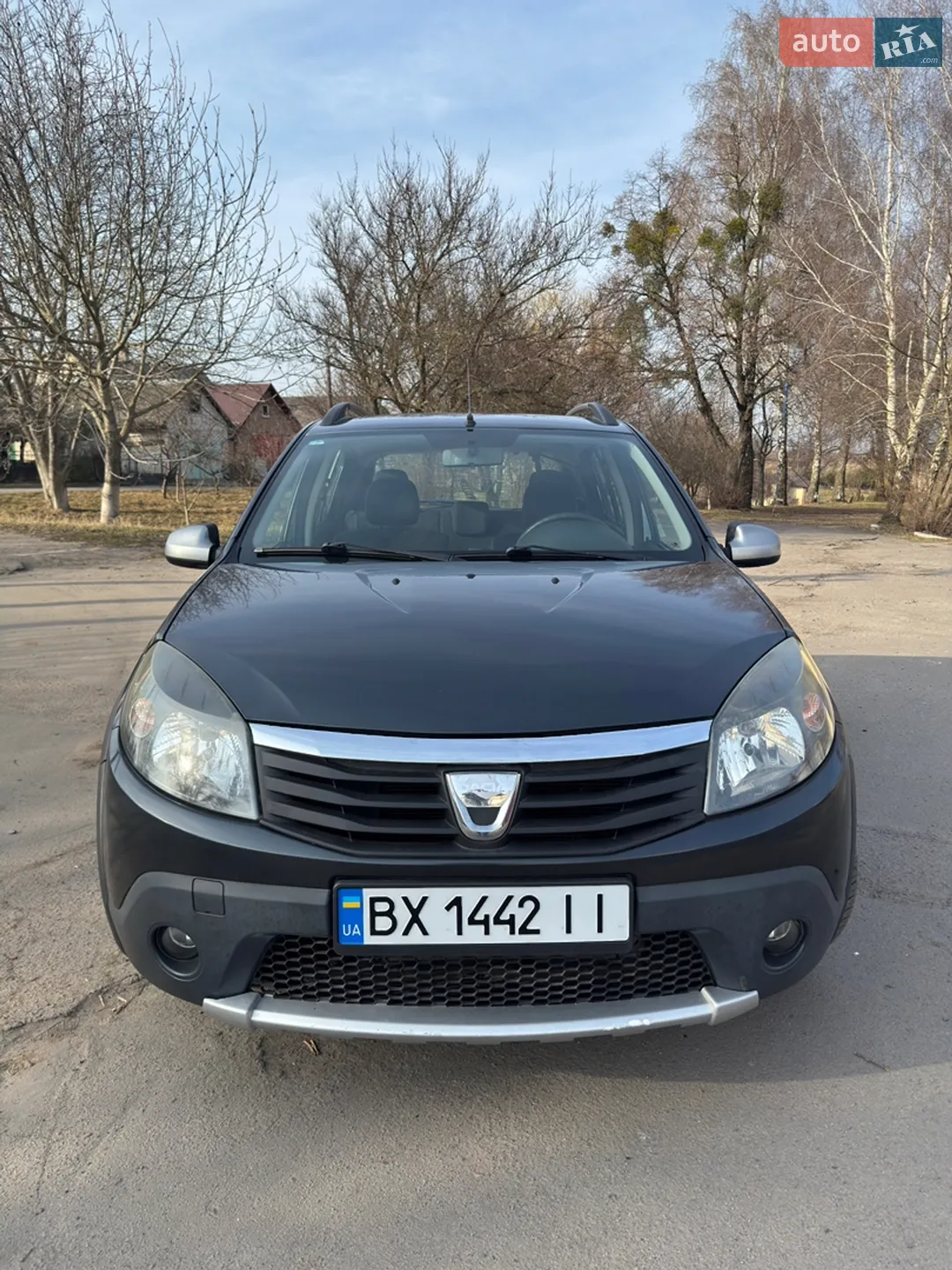 2010 Dacia Sandero - мініатюра 2