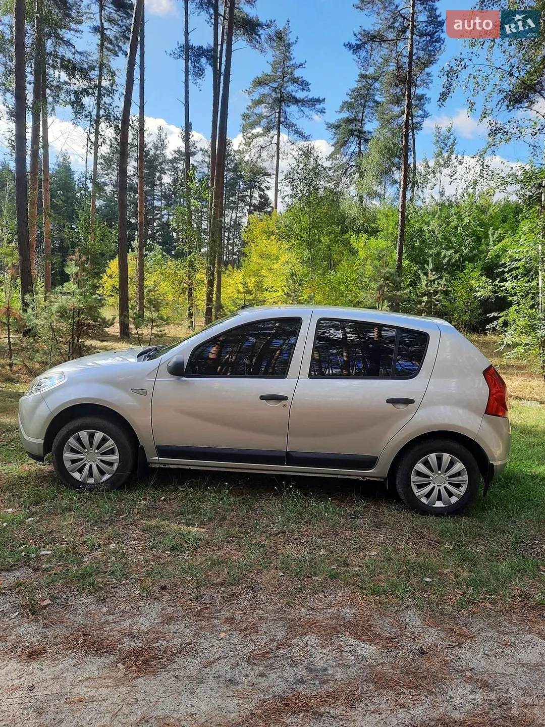 2010 Dacia Sandero - мініатюра 2
