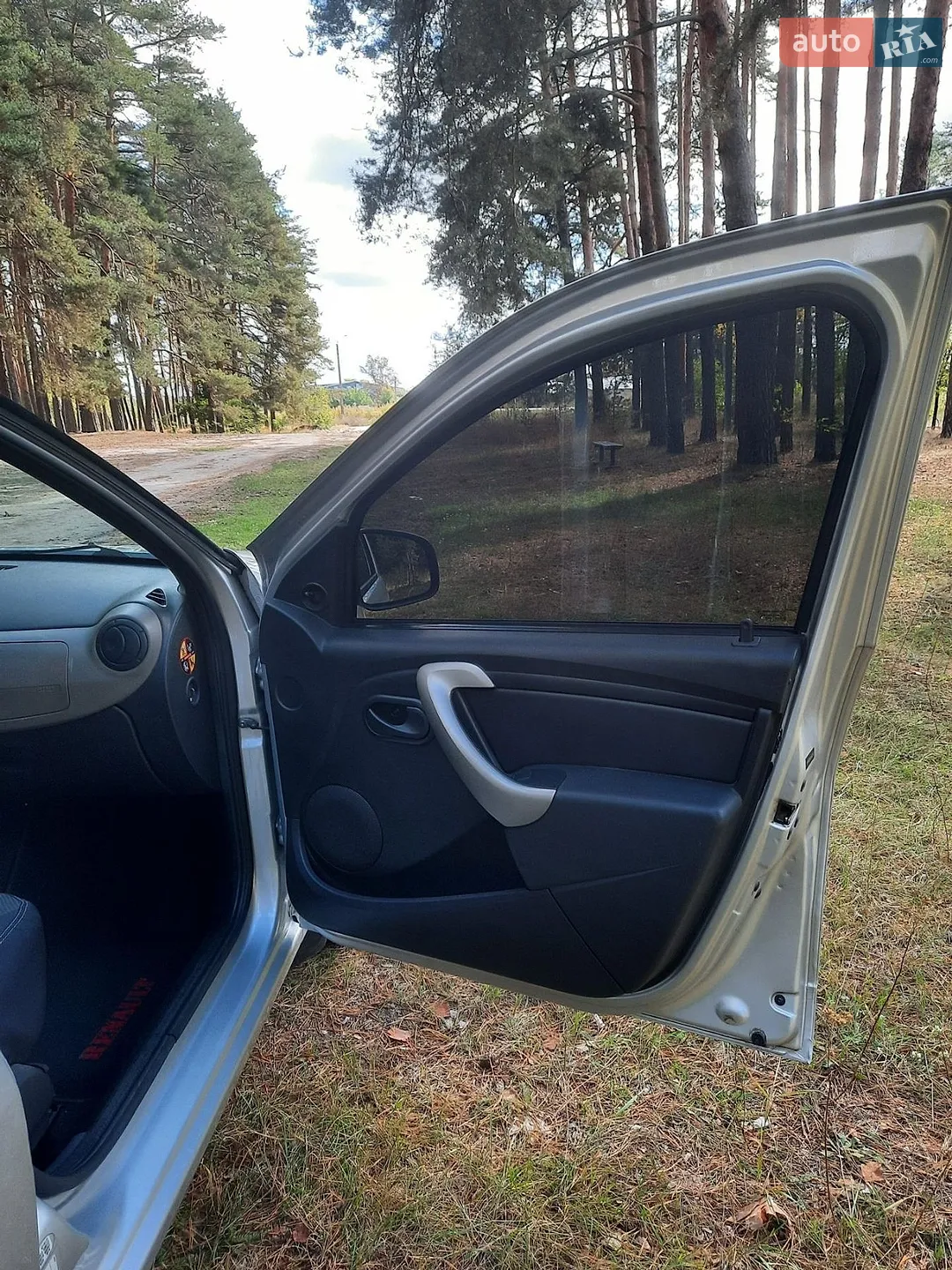 2010 Dacia Sandero - мініатюра 6
