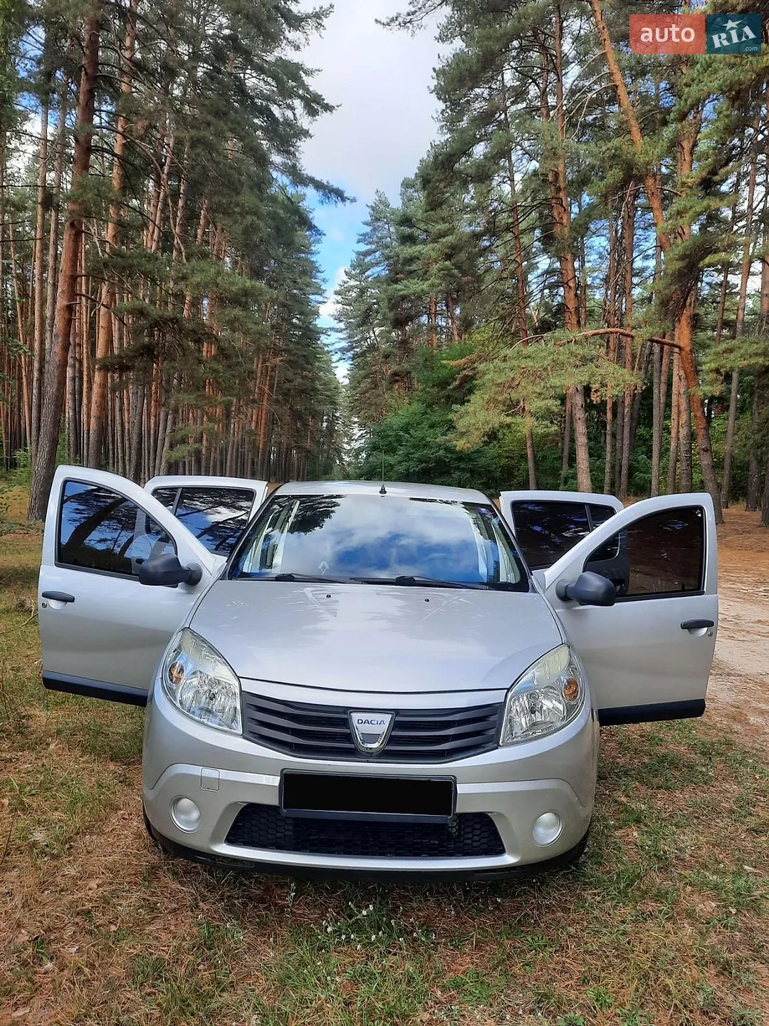 2010 Dacia Sandero - мініатюра 12