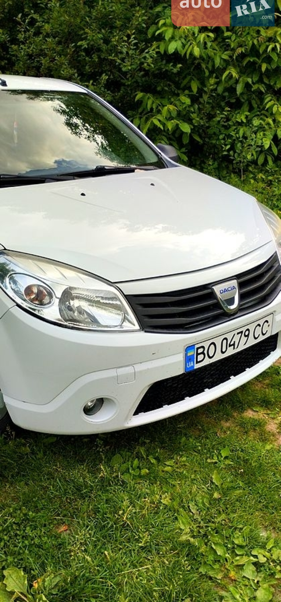 2011 Dacia Sandero - фото 1