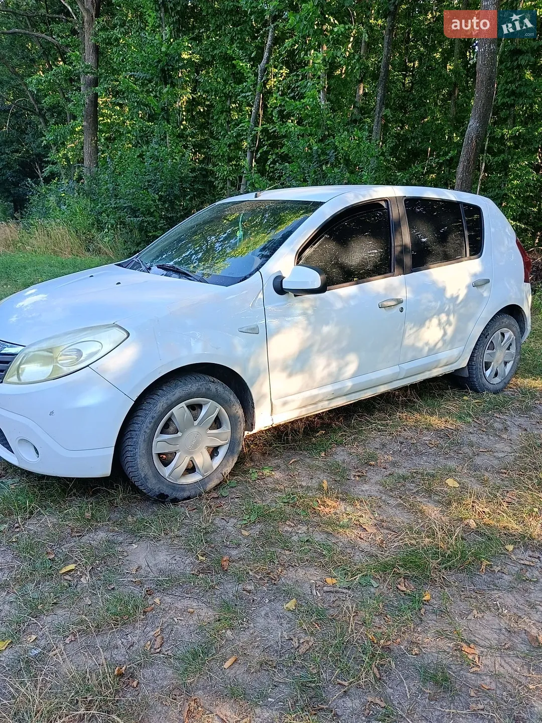 2010 Dacia Sandero - мініатюра 4