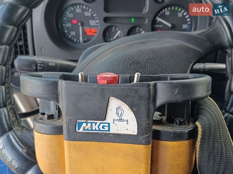 Кран-манипулятор DAF 95 2005 в Днепре