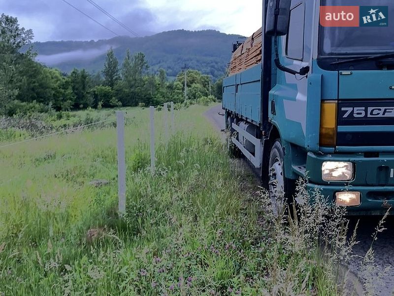 Автокран DAF CF 75 2001 в Хусті