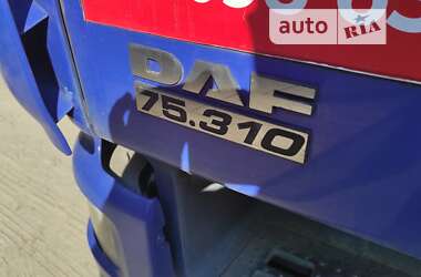 Кран-манипулятор DAF CF 2004 в 