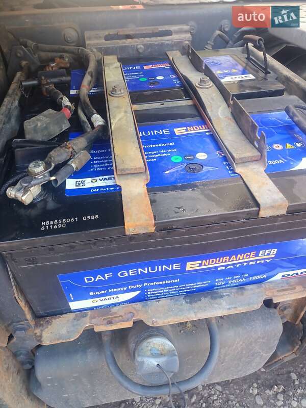 Тягач DAF XF 105 2009 в Бердичеве