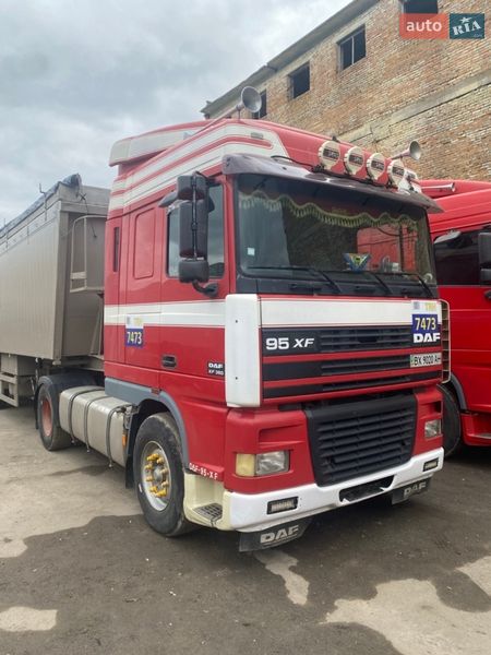Зерновоз DAF XF 95.480 2004 в Городке