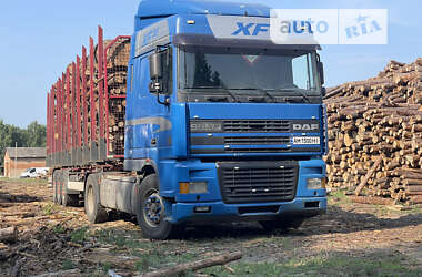 Лесовоз / Сортиментовоз DAF XF 95 2002 в Радомышле