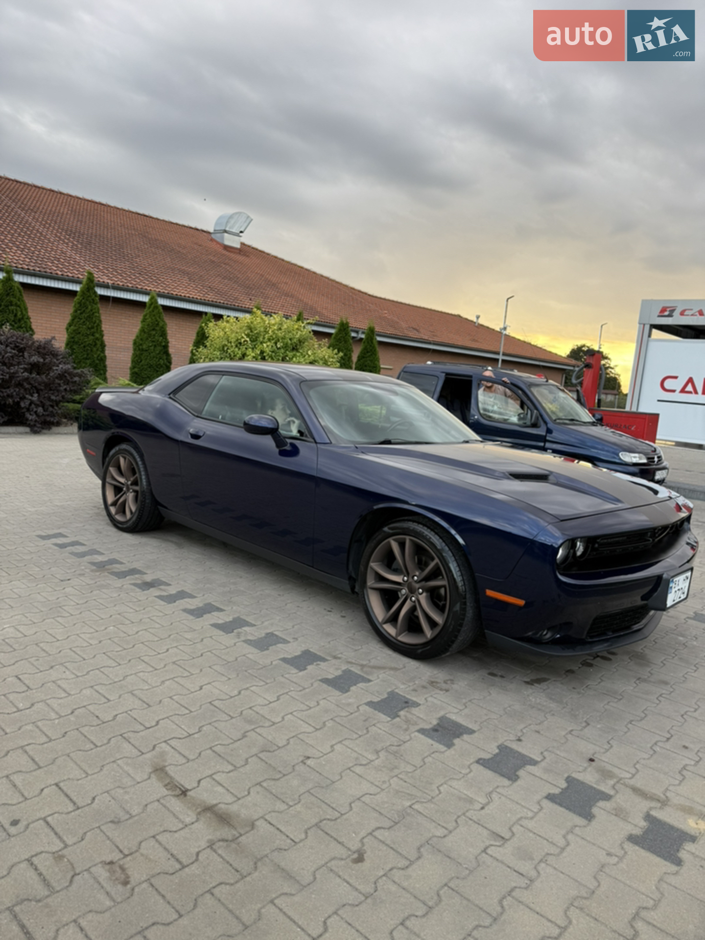 2016 Dodge Challenger - мініатюра 6