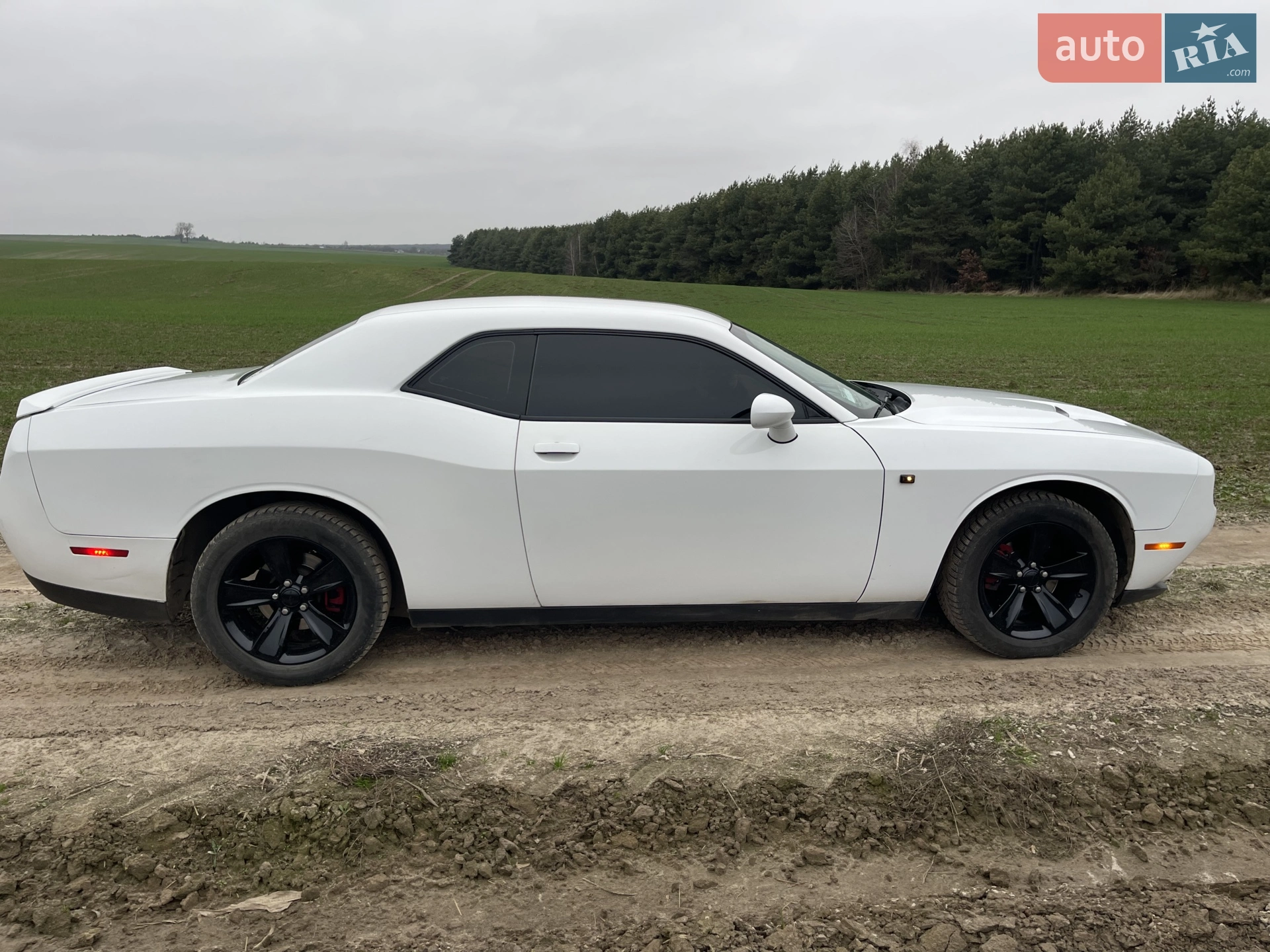 2016 Dodge Challenger - мініатюра 5