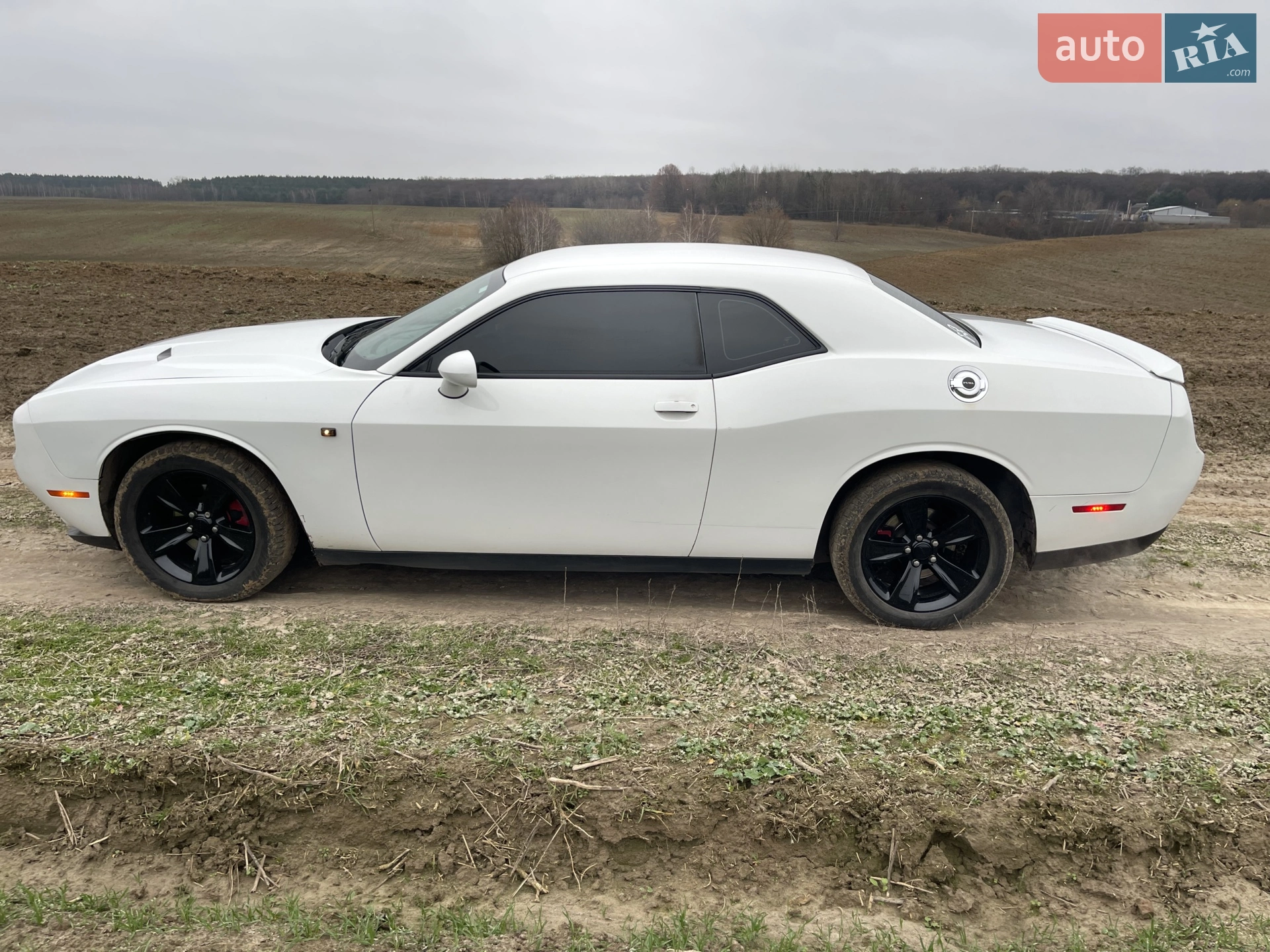 2016 Dodge Challenger - мініатюра 2