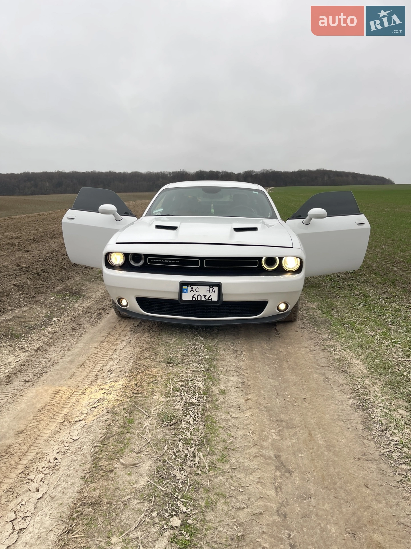 2016 Dodge Challenger - мініатюра 3